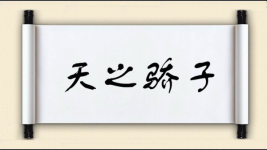 天之骄子对对子 天之骄子对对子图片