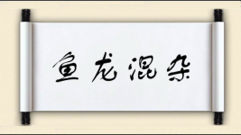 鱼龙混杂对对子图片